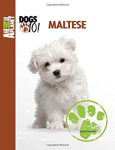 Maltese (Animal Planet: Dogs 101)