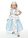 Little Adventures Princess Cinderella Dress Up Costume Large (Age 5-7) - Machine Washable Child Pretend Play and Party Dress with No Glitter