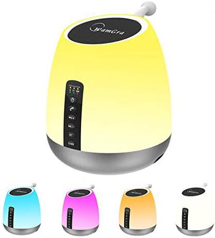 Bluetooth Speaker with Lights, WamGra Night Light Bluetooth Speaker, Smart Touch Control Table Lamp, Dimmable Warm White & RGB Color Changing LED Lamp for Bedroom, MP3 Player TF Card Supported