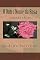 Livro O Outro Nome da Rosa