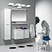 TRLIFE LED Vanity Light, Modern 4 Lights LED Bathroom Light Fixture 20W Cool White 6000K Bathroom Lights Over Mirror(24.8inches)