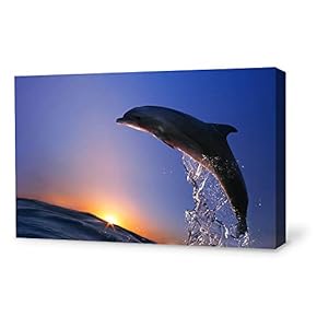 Canvas Wall Art Lovely Dolphin Canvas Prints Home Artwork Decoration for Living Room,Bedroom - 16x24 inches