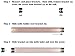 MULE Magnetic Knife Strip - Copper Plated 16