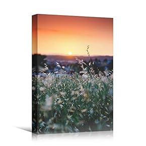 signwin Canvas Wall Art Field Sunset Coastal Orange...