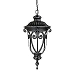 Acclaim 2116BK Naples Collection 1-Light Outdoor Light Fixture Hanging Lantern, Matte Black
