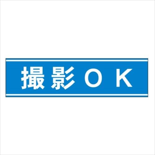 Amazon Co Jp 撮影ok 横型 ステッカー シール マークなし 29 5cm 8cm ホーム キッチン