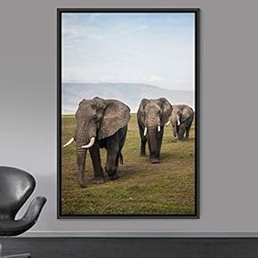 signwin Framed Canvas Wall Art Elephants Animals Dramatic...