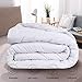Besfor Down Alternative Queen Comforter White Hotel Collection Luxury Duvet Insert- All Season -Plush Microfiber Fill - Machine Washable -Stand Alone Comforter (White, Queen)