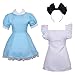Colorful House Women Blue Maid Outfit Adult Anime Maid Dress Costume Lolita Cosplay Apron Halloween Fancy Fairytale Dress(X-Large, Blue)