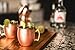 Xummit Stunning Smooth Moscow Mule Copper Mug/Cup with Golden-Hued Handle - 18 Oz (Set of 2)