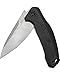 Kershaw Link Folding Pocket Knife (1776); 3.25 In. 420HC Stainless Steel Blade with Glass-Filled Nylon Handle, Reversible Pocketclip and SpeedSafe Assisted Opening; 4 oz., 7.6 In. Overall Length