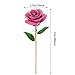 GRECEDAY Love Forever Long Stem Gold Foil Trim Red Rose Flower with Transparent Stand, Best Gift for Valentines Day, Mothers Day, Anniversary, Birthday Gift, Treating Yourself, Galentine's Day (Pink)