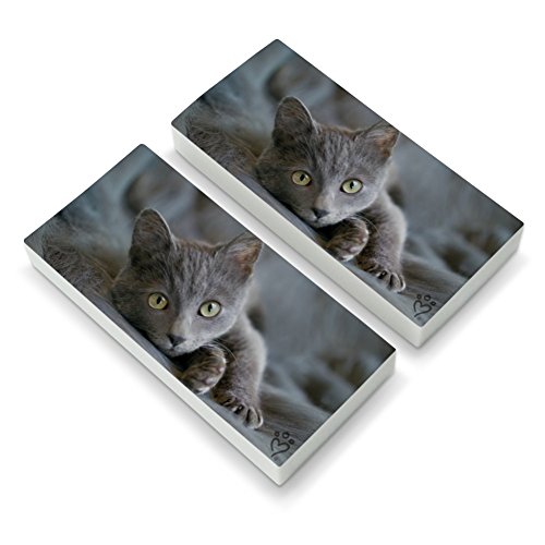 Gray Domestic Shorthair Kitten Cat Fur Eraser Set of 2