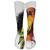 Logan Paul Maverick Parrot Looking At U Print Casual Long Socks For Both Of Men & Women