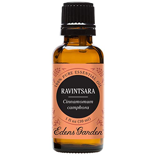 Edens Garden Ravintsara 100% Pure Therapeutic Grade Essential Oil, 30 mL