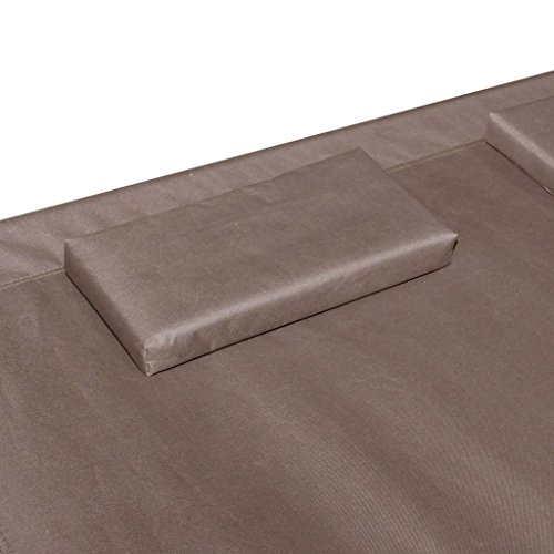 image for Tidyard 2-Persons Double Loungebed with Canopy, Sun Bed with 2 Pillows