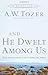And He Dwelt Among Us: Teachings from the Gospel of John