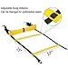 Ohuhu Agility Ladder, Speed Training Exercise Ladders for Soccer Football Boxing Footwork Sports Speed Agility Training with 4 Steel Stakes & Carrying Bag, 12-Rung