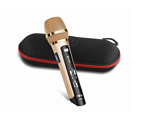 DEHEOBI Fashion Portable Home Party Music Magic Hifier Wireless Bluetooth Karaoke Microphone Professional Player Speaker Carrying Case Car Microphone Storage Box Package
