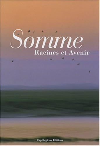 Download Somme : Racines et avenir PDF