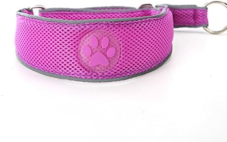 Pet Collars for Dogs Classic Ultra-soft Padded Reflective Martingale Pet Collar for Dog