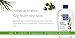 Kiss My Face Olive & Aloe Moisturizing Body Lotion, 16-Ounce Bottles (pack of 3)