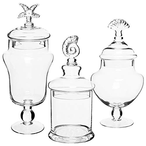 Juego de 3 tarros de botes de vidrio transparente con manija Seashell / recipientes de almacenamiento de alimentos / centros de mesa decorativos