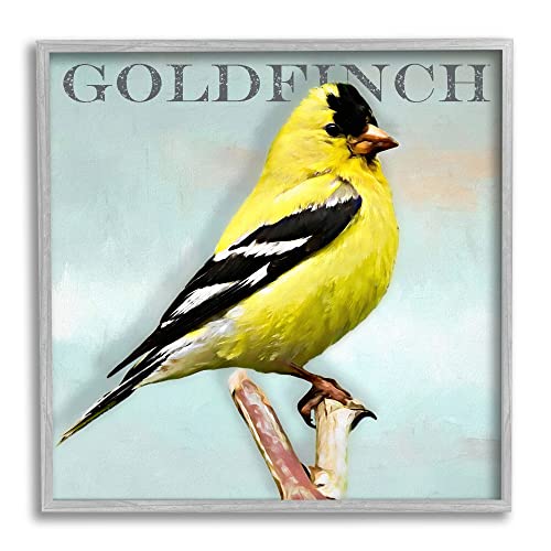 Stupell Industries Yellow Goldfinch Bird Portrait Rustic Text Typography, Desig…