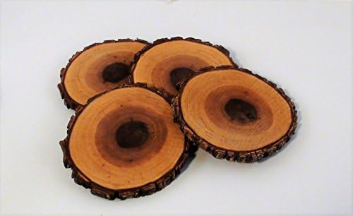 Wood Slice Coasters, Set of 4