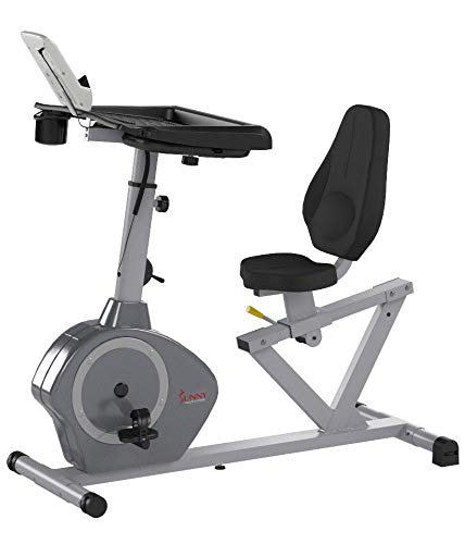 high weight capacity recumbent bike
