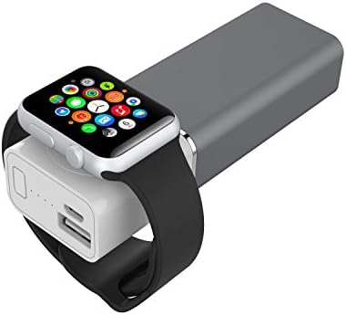 Element Works Dual Portable Backup Battery and Charger for Smartphones &amp; Apple Watch- Apple Certified (Space Grey