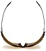 Eagle Eyes Optics Avian SHIELD 475 PROTECTION Glasses