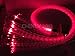 CHINLY 16W Remote RGBW Twinkle sparkle fiber optic curtain light 300pcs 1.0mm flash point 9.8ft waterfall sensory light kit