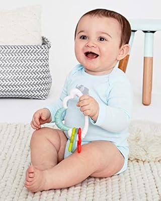 skip hop cloud rattle