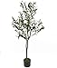 4-Feet Olive Silk Tree,Artificial Silk Plant,artificial tree Green (4 Feet Olive Silk Tree)