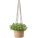 Mkono Jute Rope Hanging Planter Woven Plant Basket Indoor Up to 7