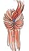 Leegoal New 2PCS Tail Hair Braid Ponytail Maker Styling Tool
