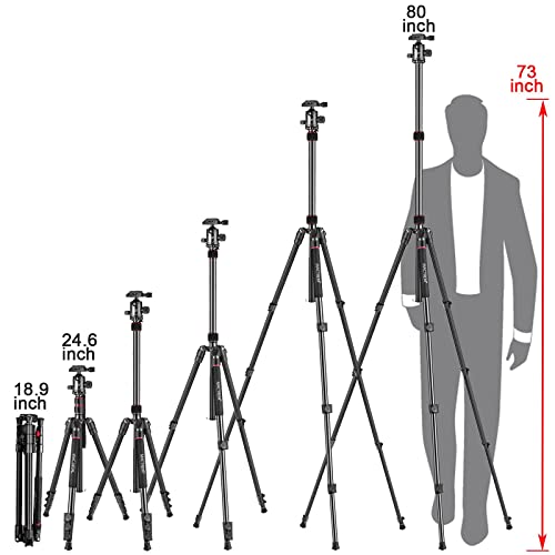 MACTREM 80" Camera Tripod, DSLR Tripod Heavy Duty for Travel, 360 ° Ball Head Professional