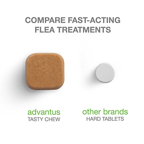 3 Bayer+Advantus+Treatment+Flavored+Same+As+Vet