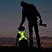 BSEEN Light Up Dog Harness - No Pull LED Dog Harness - Rechargeable LED Dog Vest - Lighted Dog Walking Harness for Small Medium Large Dogs (Green, Small)