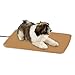 ProSelect  Heated Kennel Pad Covers — ABS Plastic Warming Kennel Pads for Pets, Medium