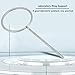 Laboratory Support Ring Stainless Steel Lab Closed Ring Retort Support Inner Diameter 60/80/100/120/140/160mm (80mm)