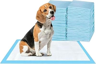 Bazaar 60x60cm Large Puppy Pads 600 Count | Highly Absorbent Leak-Proof