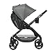 Ergobaby Stroller, Travel System Ready, 180 Reversible with One-Hand Fold, Graphite