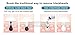 USA PURADIANT Blackhead Vacuum I Pore Vacuum I Suction Removal | Extractor Cleanser | Electric Facial System | USB - Plug Rechargeable