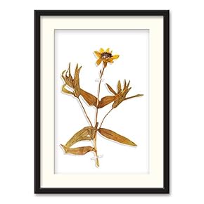 Black Paper Framed Canvas Wall Art for Living Room, Bedroom Simple Beautiful Leaves Canvas Prints for Home Decoration Ready to Hanging - 23x31 inches