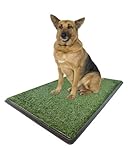 X-large Potty Pad - Indoor Dog Bathroom 30