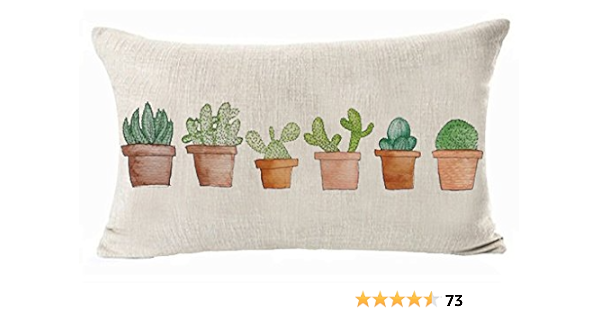 cactus pillows amazon