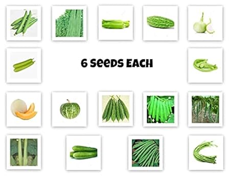 JK Vegetable Seeds Combo - 26 Types of F1 Hybrid Seeds for Terrace/Lawn/Balcony Gardening - high Germination and high Yield - Seed Combo by Shivam Seeds and Agritech