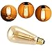 DSYJ for Edison Light Bulbs, Vintage 60 Watt Incandescent Light Bulbs E26 Base Dimmable Decorative Antique Filament Light Bulbs 252 Lumens, Ray Amber Warm 1 Pcs